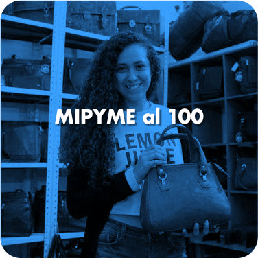 MIPYME al 100