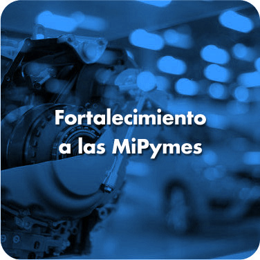 Fortalecimiento MiPyME