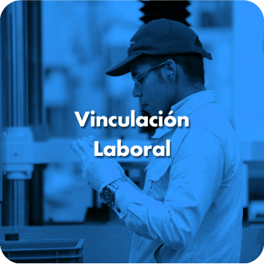 Vinculación Laboral