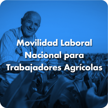 Movilidad Laboral