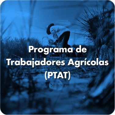 PTAT