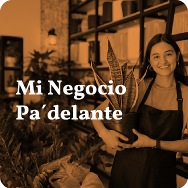 MI NEGOCIO 376X376